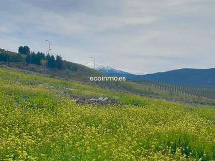 Parcela rústica en venta en Otura