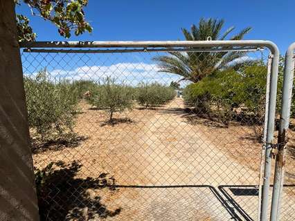 Parcela rústica en venta en Marchena