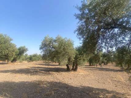 Parcela rústica en venta en La Puebla de Cazalla