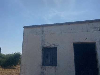 Parcela rústica en venta en La Puebla de Cazalla