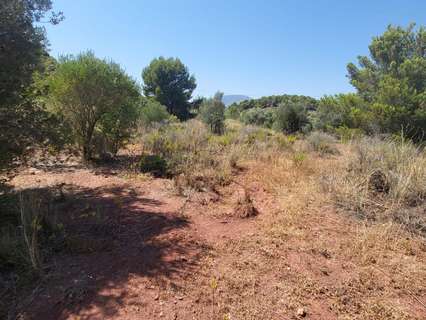 Parcela rústica en venta en La Nucía