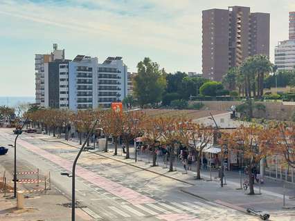 Piso en venta en Benidorm