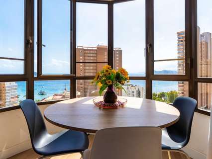 Estudio en venta en Benidorm