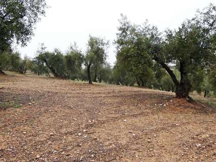 Parcela rústica en venta en Peligros