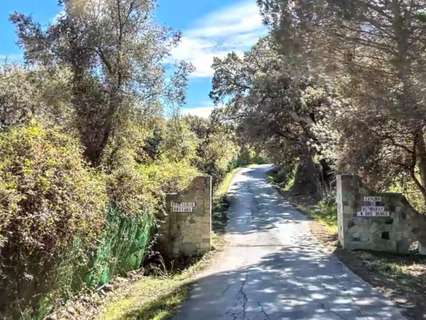 Parcela rústica en venta en Los Barrios