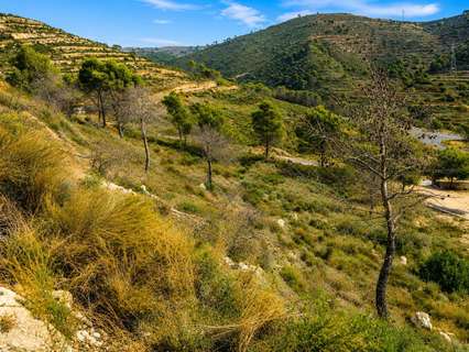 Parcela rústica en venta en Calpe