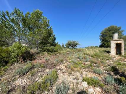 Parcela rústica en venta en Buñol