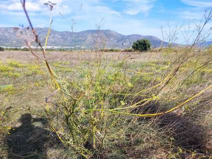 Parcela en venta en Torroella de Fluvià zona Vilacolum ( urb. Ferien )