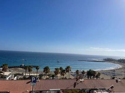 Apartamento en alquiler en Arona zona Los Cristianos