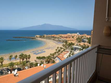 Estudio en alquiler en Arona zona Los Cristianos