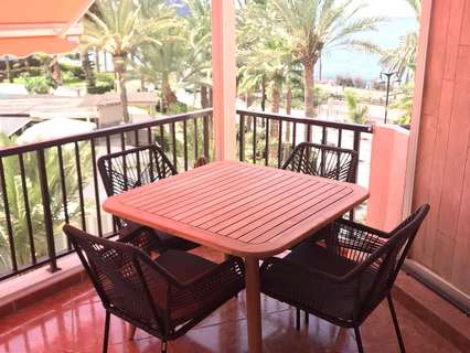 Estudio en alquiler en Arona zona Los Cristianos