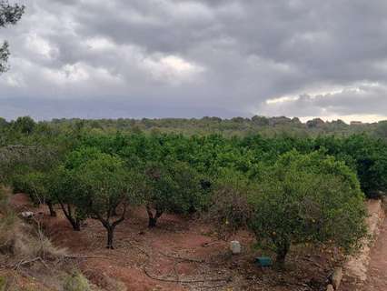 Parcela rústica en venta en La Nucía