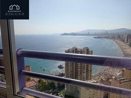 Apartamento en alquiler en Benidorm rebajado