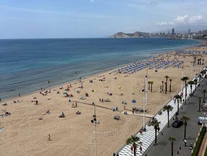 Apartamento en venta en Benidorm