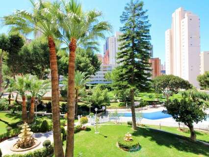 Estudio en venta en Benidorm