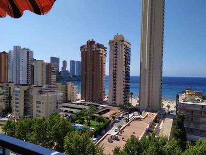 Estudio en venta en Benidorm