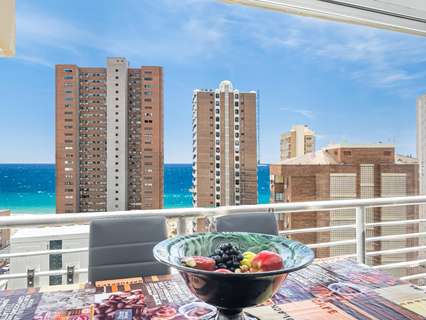 Estudio en venta en Benidorm