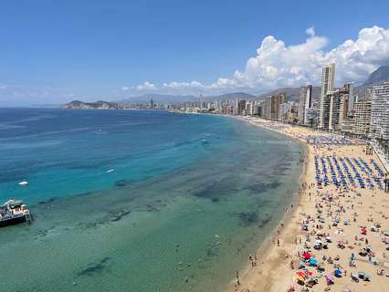 Apartamento en venta en Benidorm rebajado