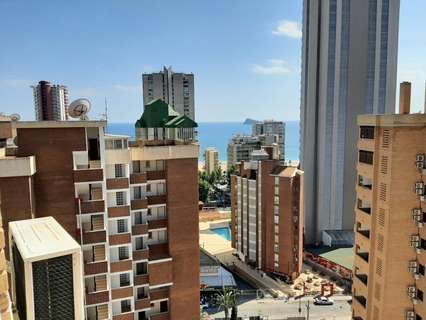 Apartamento en venta en Benidorm rebajado