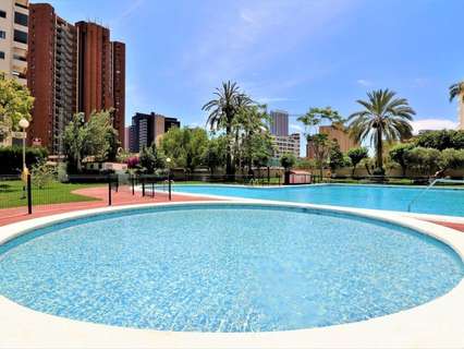 Apartamento en venta en Benidorm