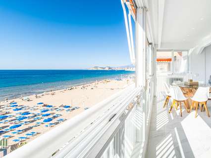 Apartamento en venta en Benidorm rebajado