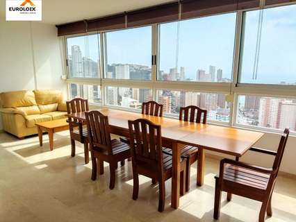 Piso en alquiler en Benidorm