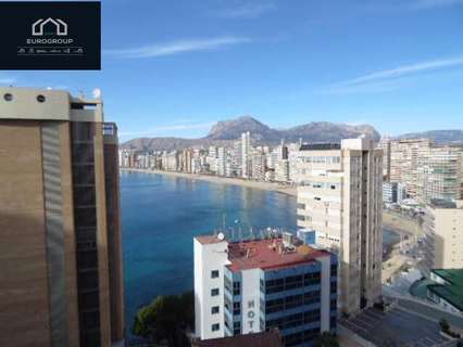 Apartamento en alquiler en Benidorm
