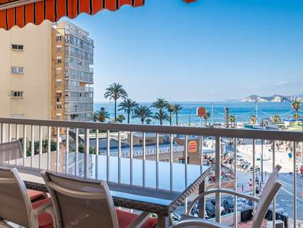 Apartamento en alquiler en Benidorm rebajado