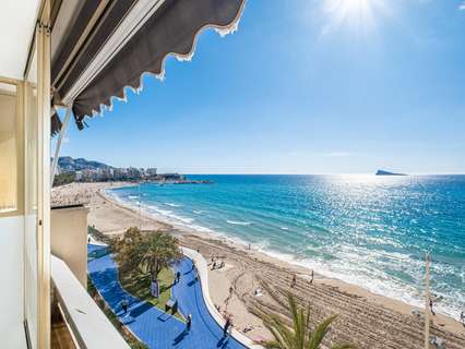 Apartamento en alquiler en Benidorm