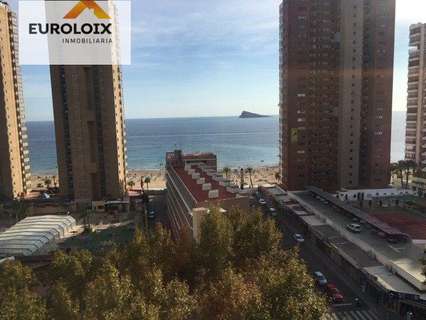 Apartamento en alquiler en Benidorm