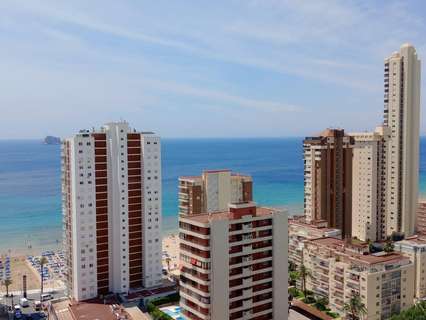 Apartamento en venta en Benidorm, rebajado