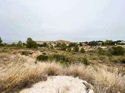 Parcela rústica en venta en Molina de Segura