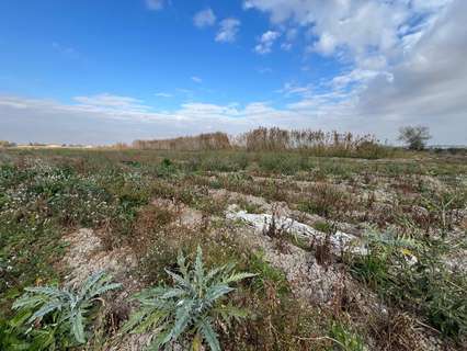 Parcela rústica en venta en San Fulgencio rebajada
