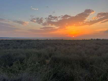 Parcela rústica en venta en Guardamar del Segura