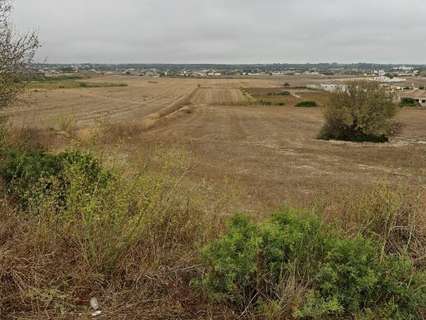 Parcela rústica en venta en Chiclana de la Frontera