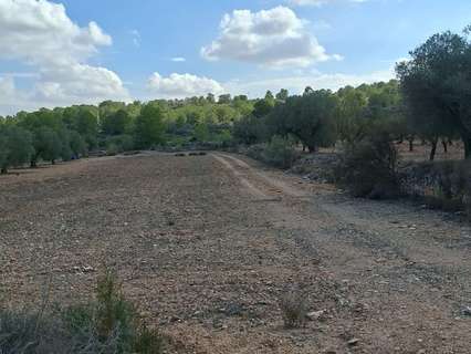 Parcela rústica en venta en Monóvar/Monòver