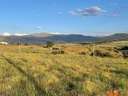 Parcela rústica en venta en Palazuelos de Eresma