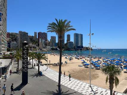 Apartamento en alquiler en Benidorm rebajado