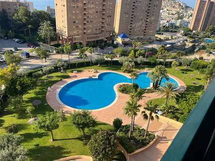 Apartamento en alquiler en Benidorm rebajado