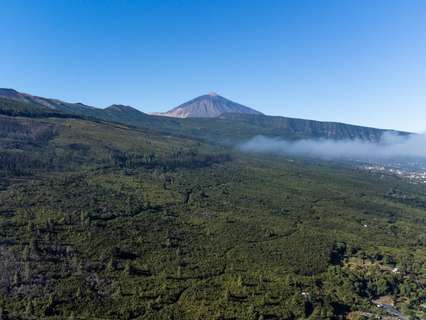 Parcela rústica en venta en La Orotava