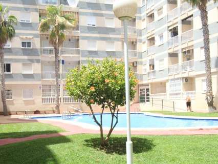 Planta baja en venta en Torrevieja rebajada