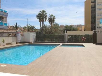 Planta baja en venta en Torrevieja rebajada