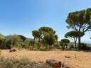 Parcela en venta en Sant Andreu de Llavaneres zona EL MIRADOR