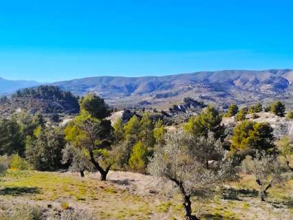 Parcela rústica en venta en Quatretondeta