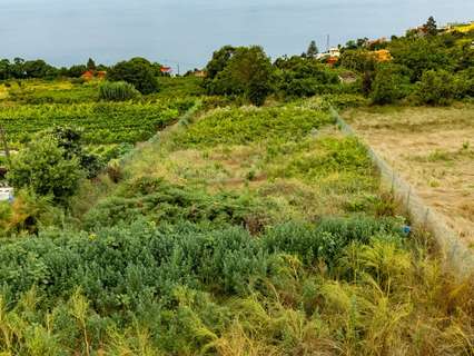 Parcela urbana en venta en El Sauzal rebajada