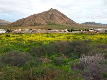 Parcela rústica en venta en La Oliva
