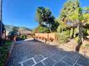 Chalet en alquiler en Las Palmas de Gran Canaria