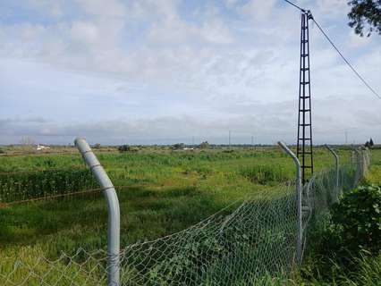 Parcela rústica en venta en Gibraleón