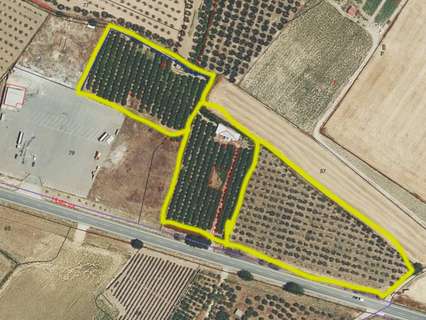 Casa rústica en venta en Manzanilla