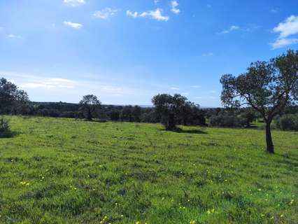 Parcela rústica en venta en Niebla